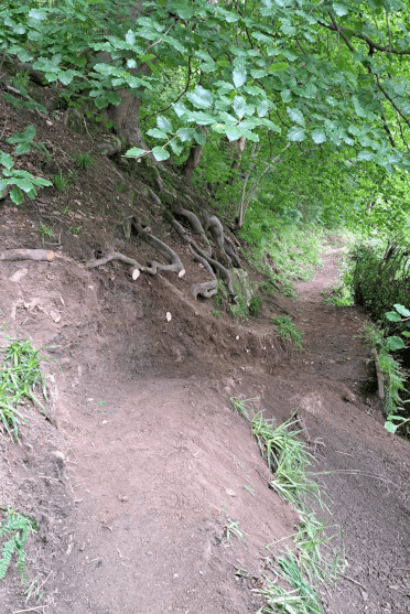 The path has been carefully smoothed out so that it's safe to walk.