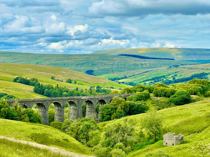 Smardalegill Viaduct by Raymond Riggs